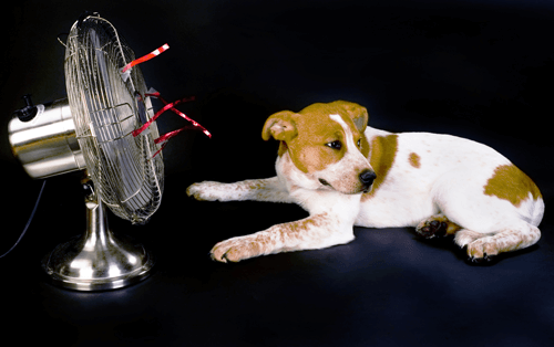 History of Air Conditioning